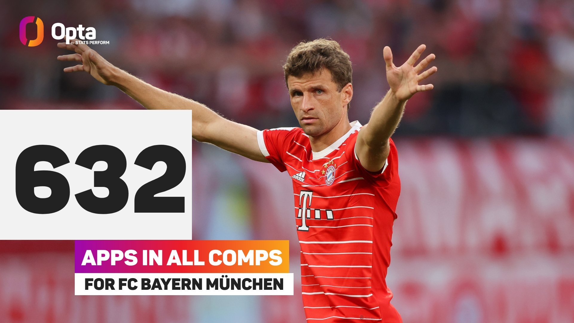 美食节今日开启！！！